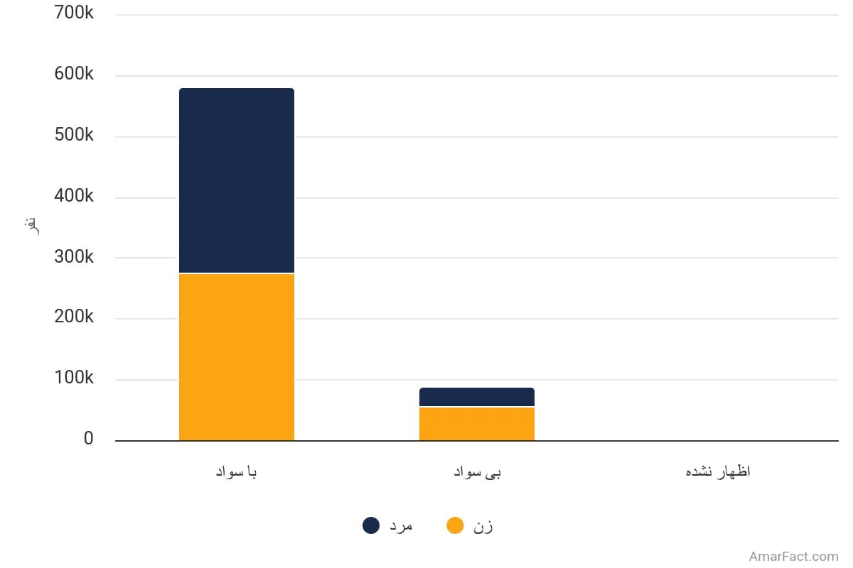 تصویر شاخص آمار آمار جمعیت 6 ساله و بیشتر استان خراسان جنوبی به تفکیک وضع سواد و جنسیت (سال 1395)