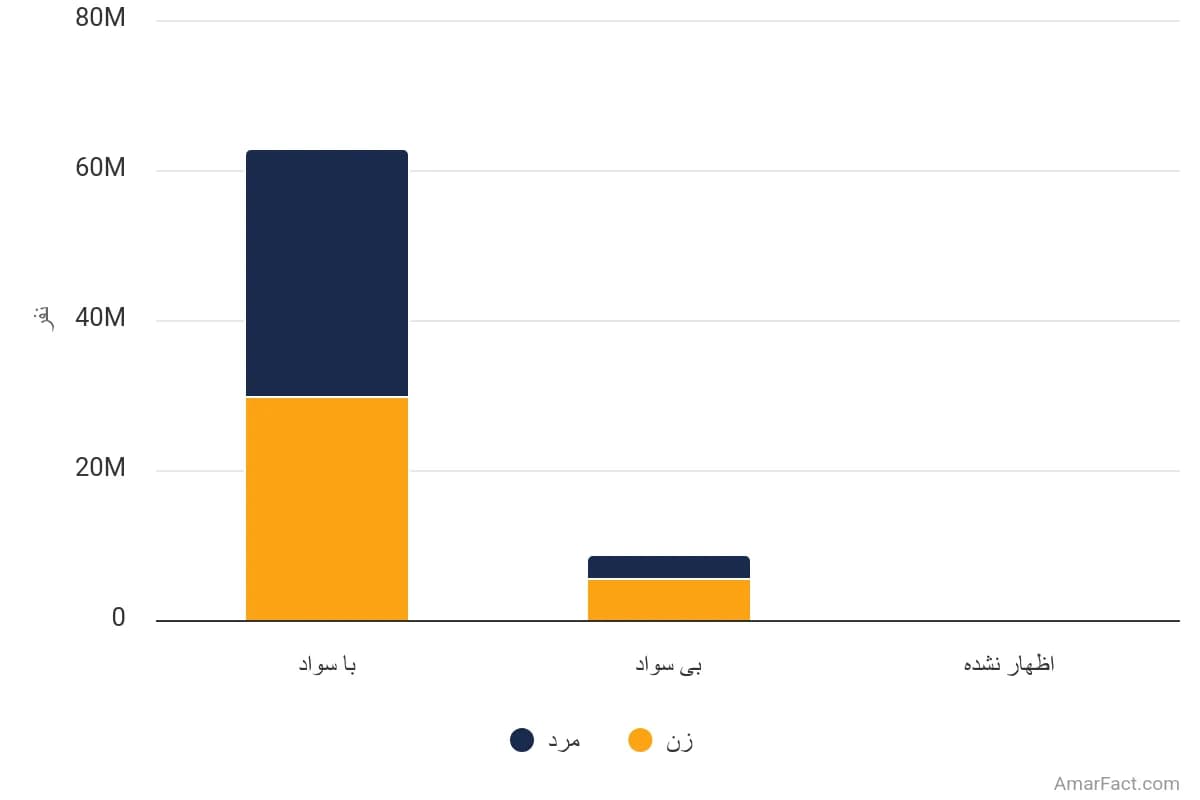 تصویر شاخص آمار آمار جمعیت ایران به تفکیک وضع سواد و جنسیت (سال 1395)