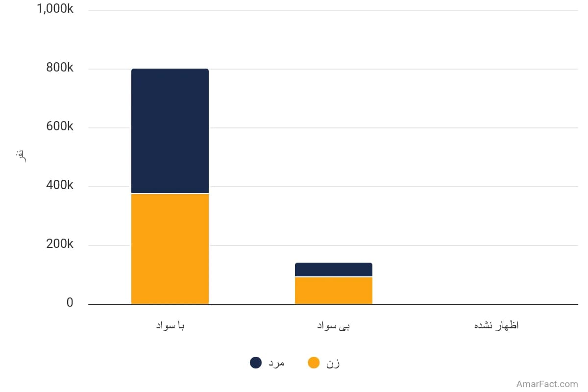 تصویر شاخص آمار آمار جمعیت 6 ساله و بیشتر استان زنجان به تفکیک وضع سواد و جنسیت (سال 1395)