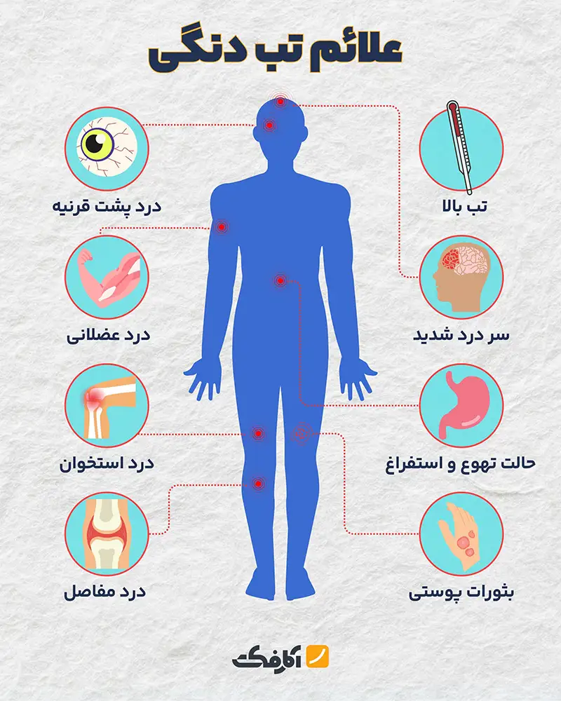 علائم تب دنگی